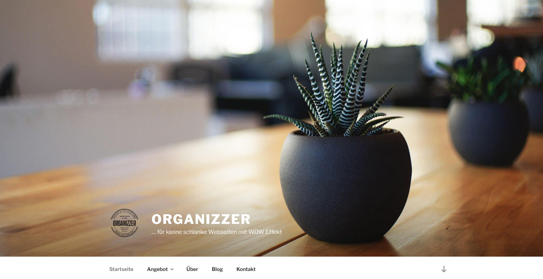 www.organizzer.ch
